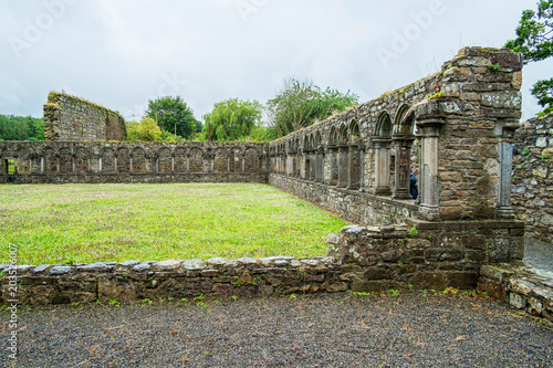 Travel in Ireland. Jerpoint Cistercian Abbey photo