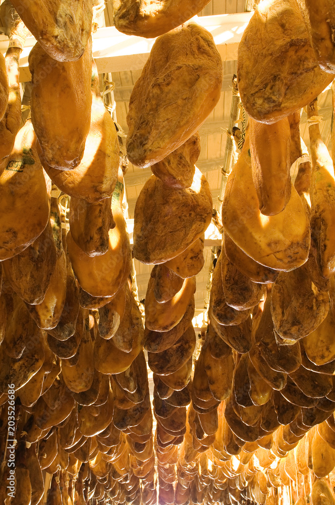 Iberian cured hams stored in a drying room during the curing process