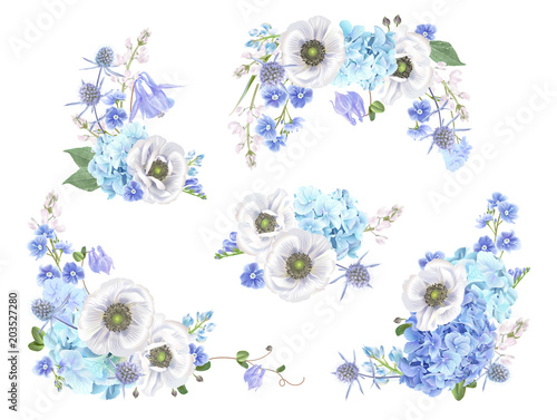 Blue anemone set