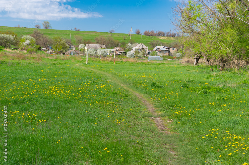 Spring landscape with old soccer field overgrown with dandelions in Novo-Aleksandivka village near Dnipro city, Ukraine