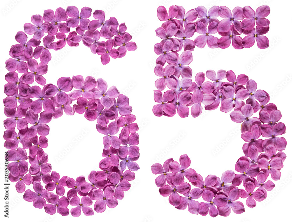 Arabic numeral 65, sixty five, from flowers of lilac, isolated on white background