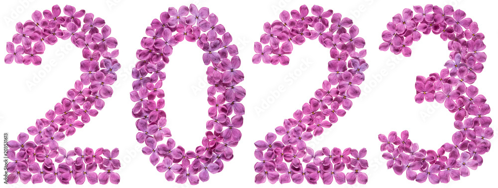 Numeral 2023 from flowers of lilac, isolated on white background Numeral 2023 from flowers of lilac, isolated on white background