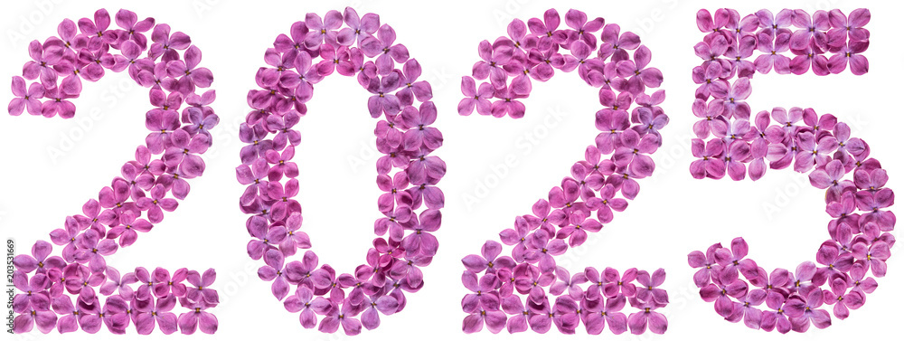 Numeral 2025 from flowers of lilac, isolated on white background Numeral 2025 from flowers of lilac, isolated on white background