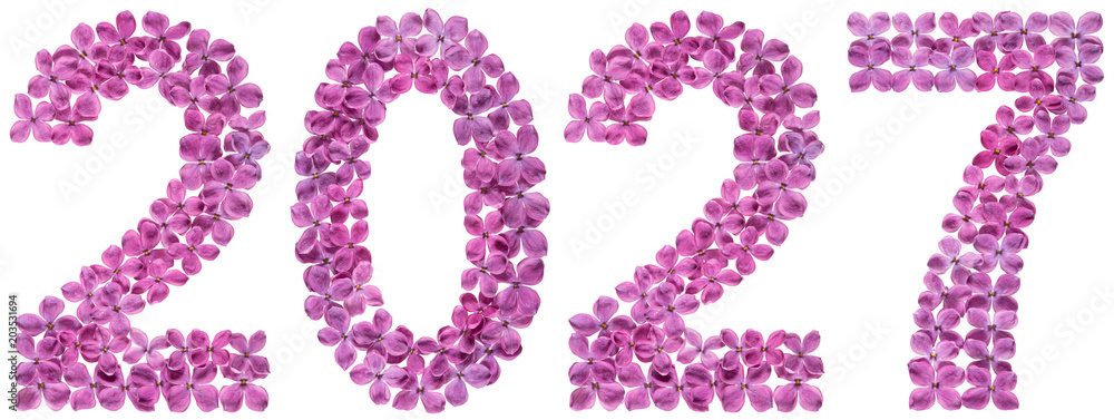 Numeral 2027 from flowers of lilac, isolated on white background Numeral 2027 from flowers of lilac, isolated on white background