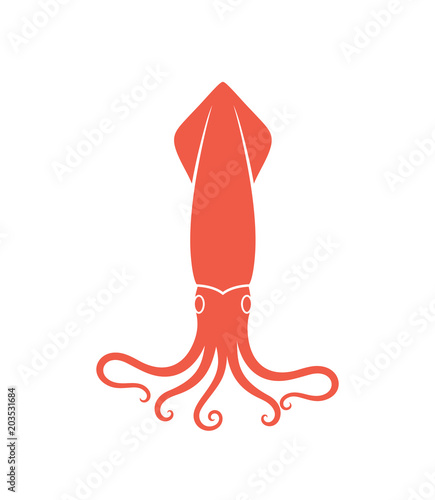 Squid logo. Isolated squid on white background