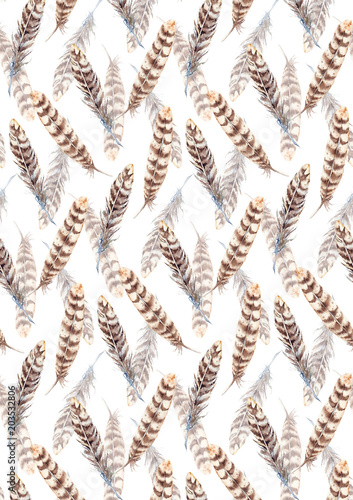 Watercolor brown beige stripe feather background pattern texture