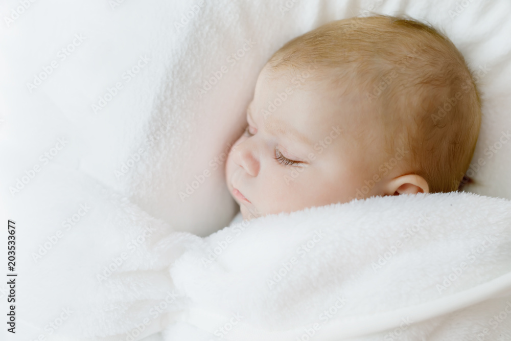 Cute little newborn baby girl sleeping wrapped in blanket Cute little newborn baby girl sleeping wrapped in blanket