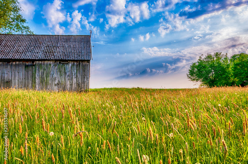 Barn on the spring meadow