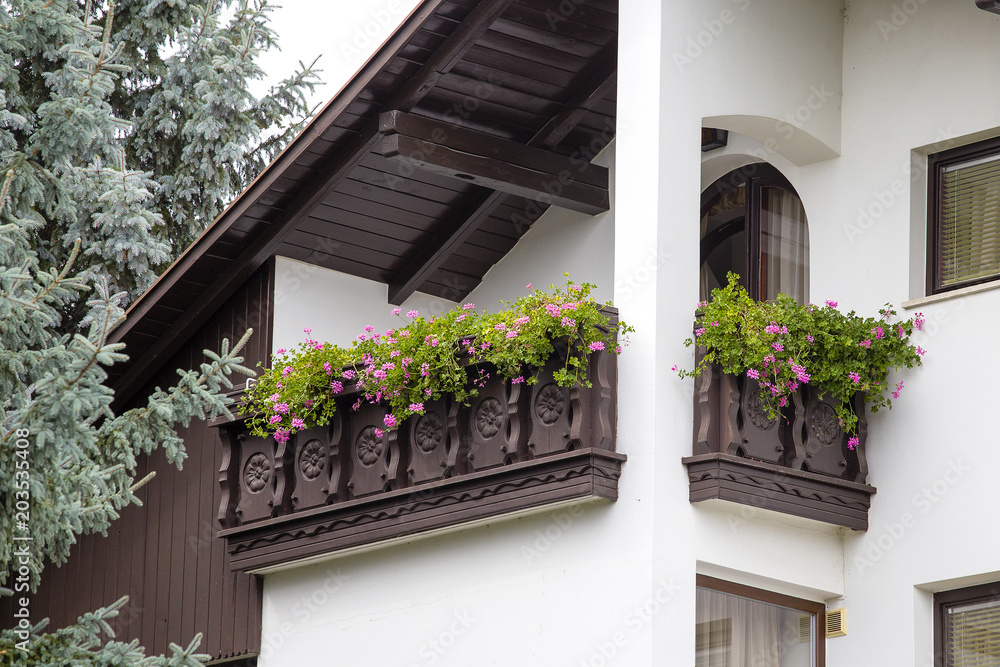Flowerpots and house plants on the balcony, Hungary