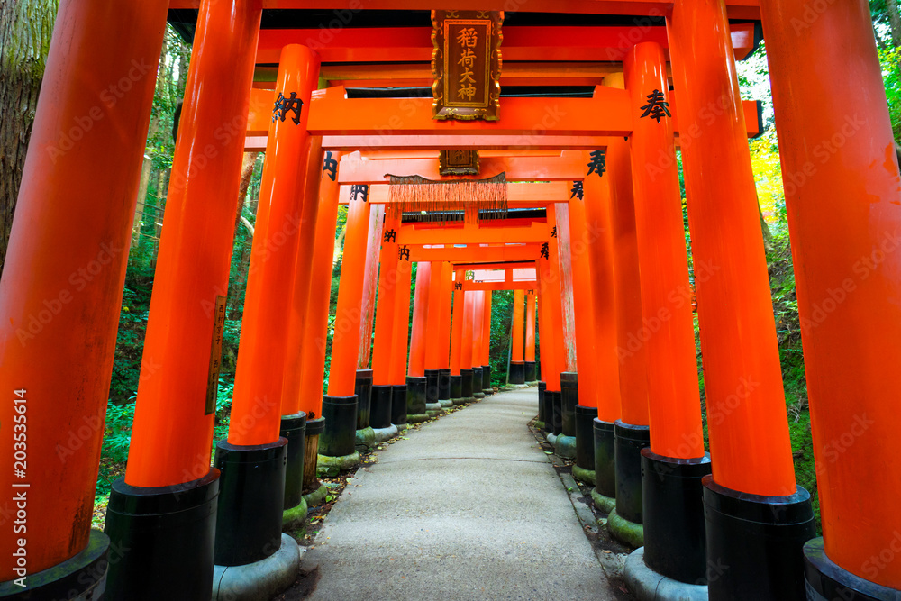 Senbon Torii at Fushimi Inari Shrine.