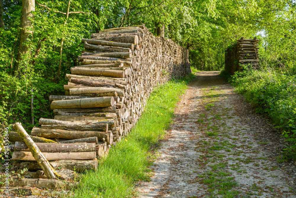Two piles of logs stacked cleanly on both sides of a forest path at the edge of a forest in the french countryside.