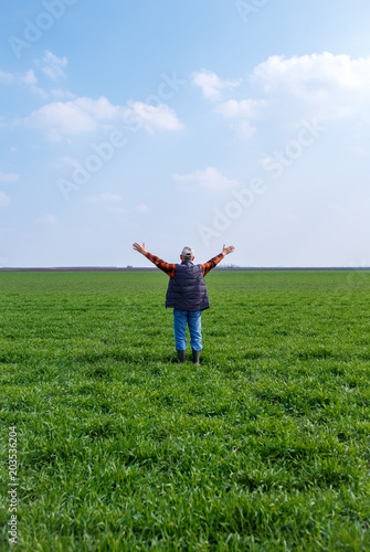 Rear view of senior farmer standing in young wheat with his arms outstretched.