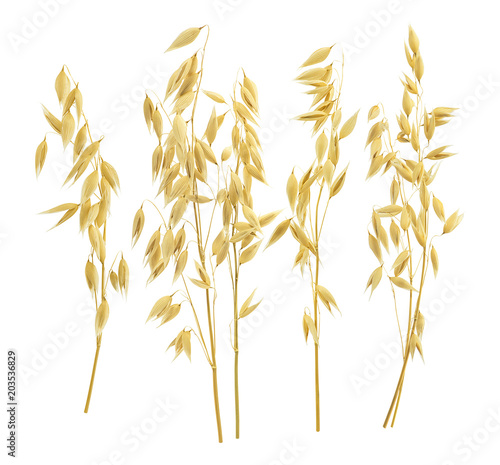 Konstfotografi Separate oat ears set. Isolated on white background