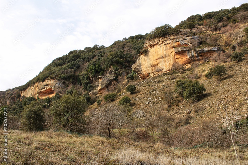 Mountain landscape with green vegetation in spring