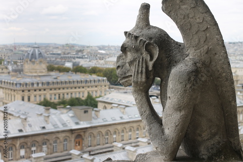 Notre Dame © Nina