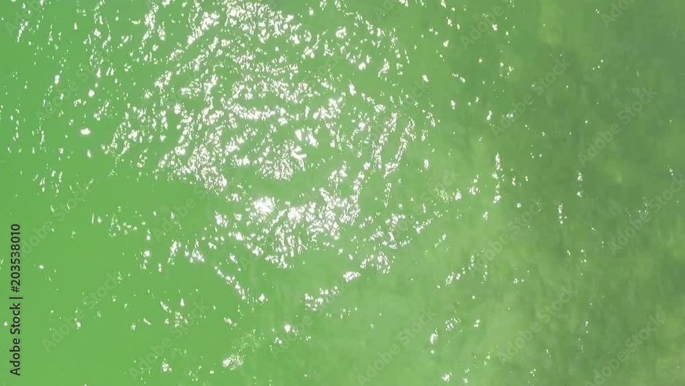 Clear water of the gulf seen from above in the Florida Keys Clear water of the gulf seen from above in the Florida Keys