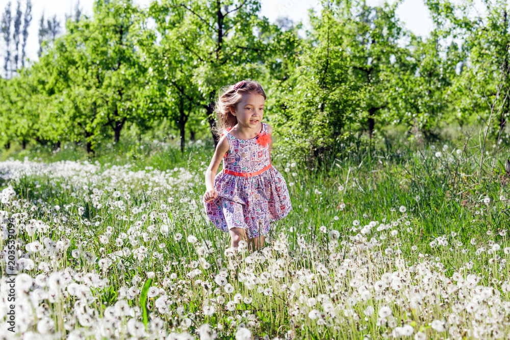 dandelion field white girl beautiful happy little baby green meadow yellow flowers dandelions nature park garden dandelion field white girl beautiful happy little baby green meadow yellow flowers dandelions nature park garden