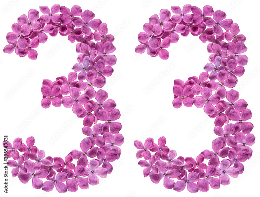 Arabic numeral 33, thirty three, from flowers of lilac, isolated on white background