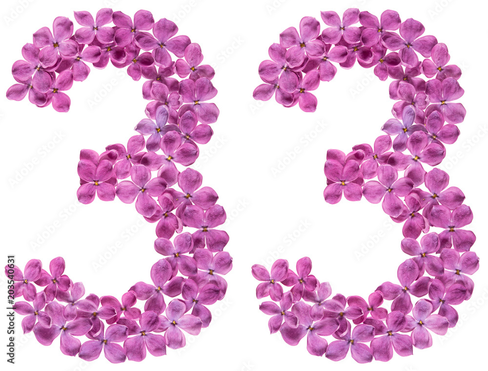 Arabic numeral 33, thirty three, from flowers of lilac, isolated on white background Arabic numeral 33, thirty three, from flowers of lilac, isolated on white background