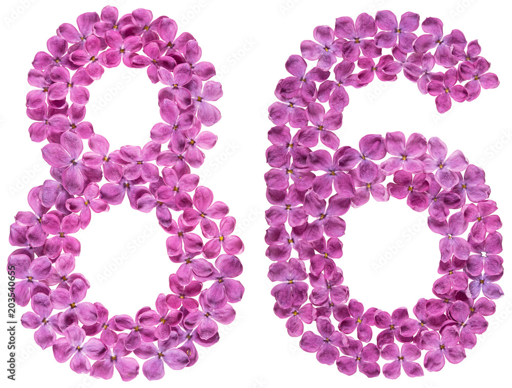 Arabic numeral 86, eighty six, from flowers of lilac, isolated on white background