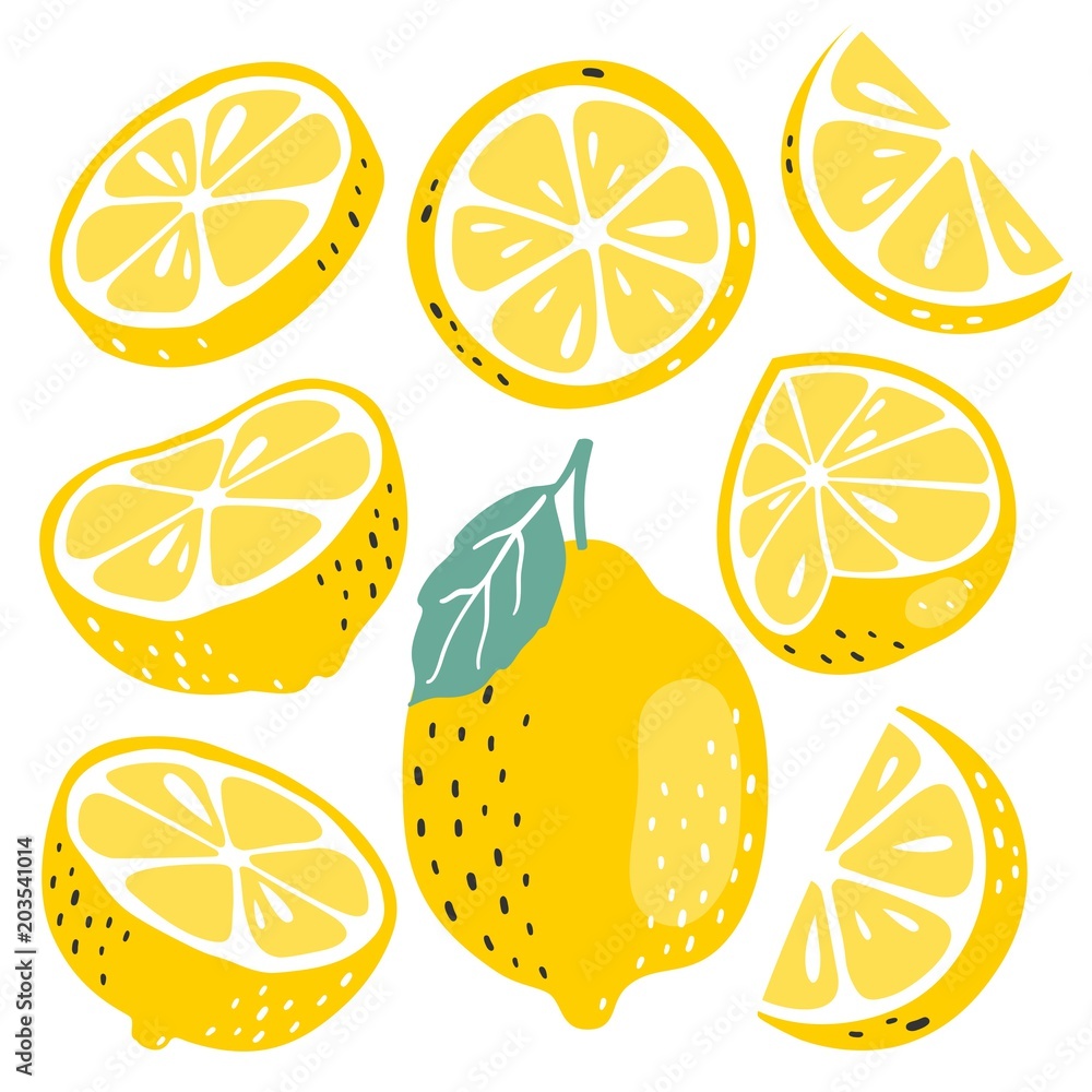Fresh lemon fruits collection Fresh lemon fruits collection