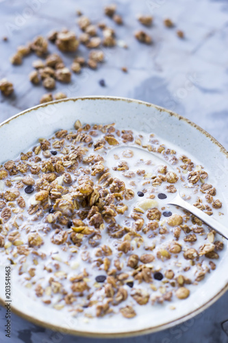 Chocolate muesli with milk in a plate on a gray table. Delicious healthy breakfast