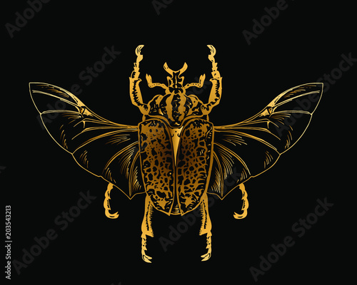 Exotic golden beetle isolated on black background. Vector illustration