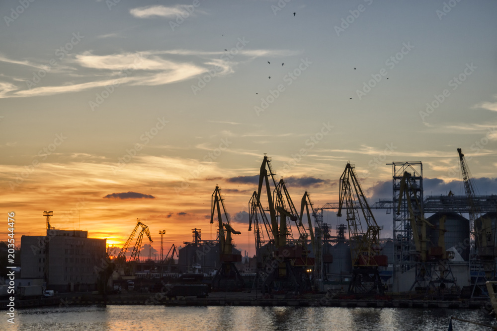 Cargo seaport, ships, a lot of cargo cranes
