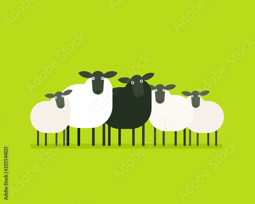 Black sheep in the herd