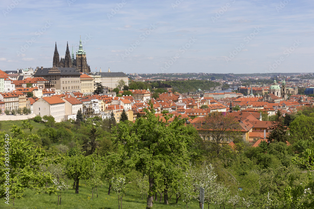 View on the spring Prague City with the green Nature and flowering Trees, Czech Republic View on the spring Prague City with the green Nature and flowering Trees, Czech Republic