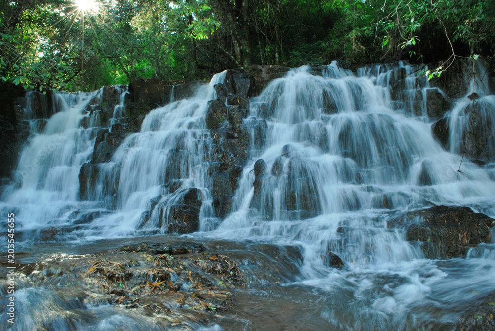 Obraz premium Natura