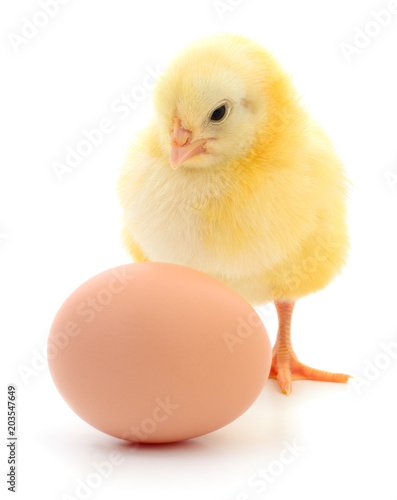 chicken and egg