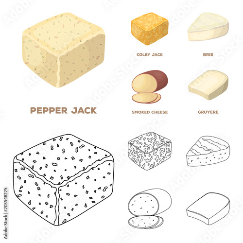 Brynza, smoked, colby jack, pepper jack.Different types of cheese set collection icons in cartoon,outline style vector symbol stock illustration web.