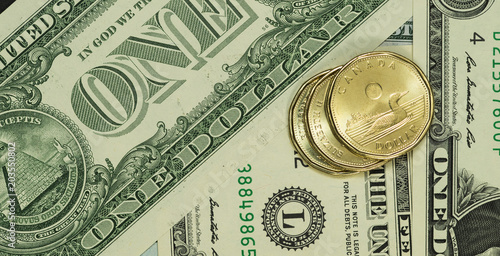Tableau sur toile USDCAD US Dollars and Loonies Angled