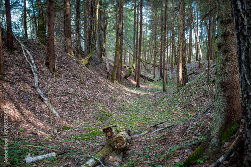 A small ravine in the forest © PhotoChur