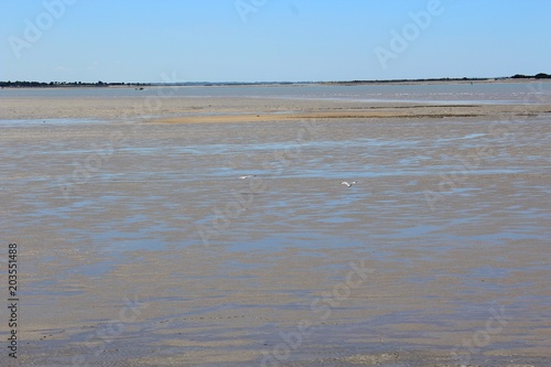 Plage à marée Basse près de La Rochelle