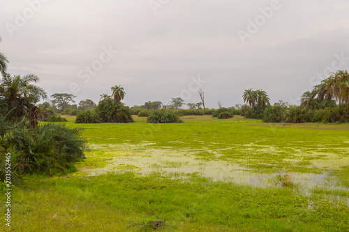 View of a pond and a hill in the savannah of Amboseli Park