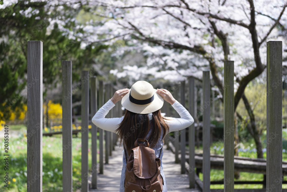 Woman is enjoy sightseeing Cheery Blossom in the park in Japan.