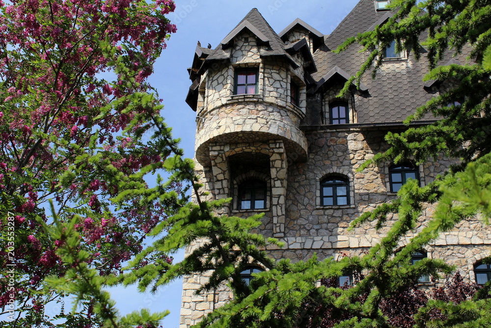 Beautiful castle between blooming branches and blue sky