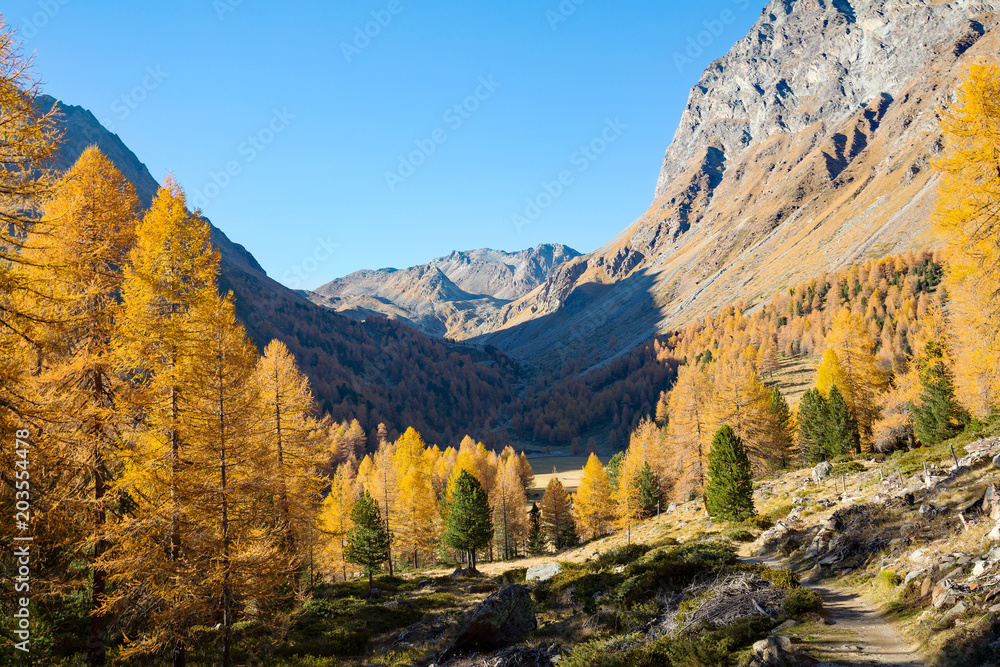 Fototapeta premium Vallata Alpina in autunno