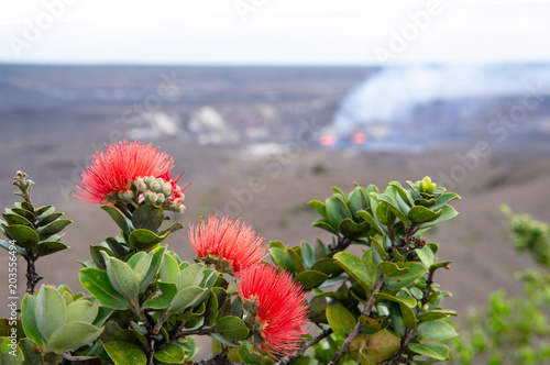 レフアとキラウエア火山の噴火口
