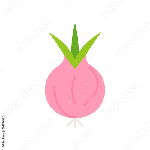 Onion icon, flat design vector