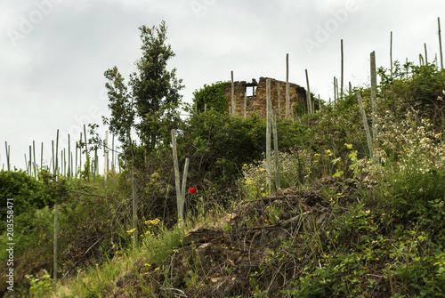 Ruralitè.