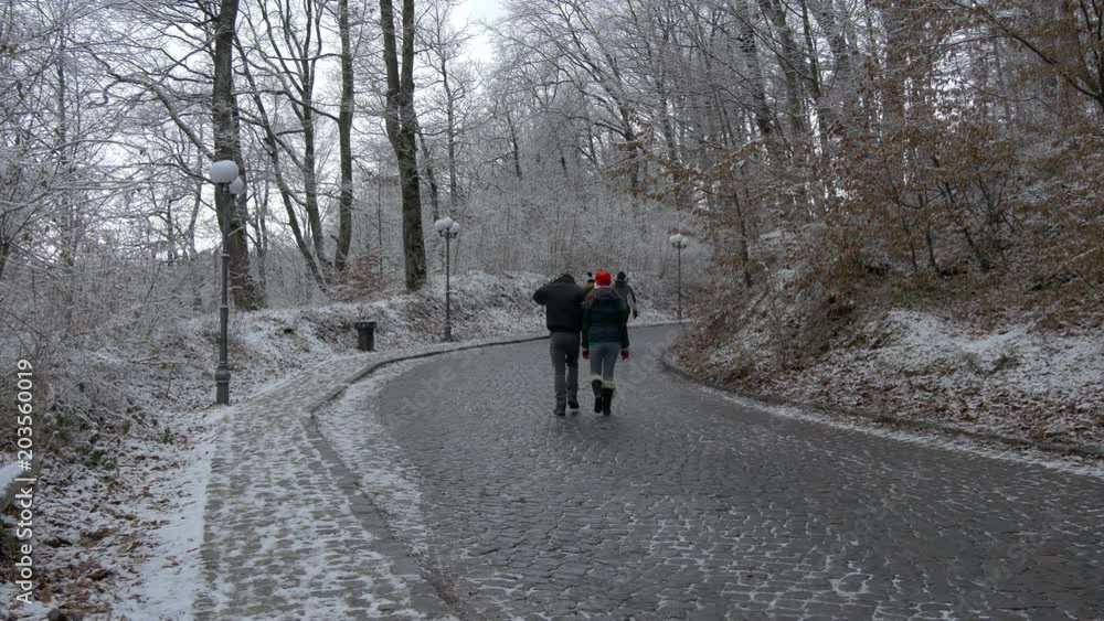 Walking on a paved road on a winter day Walking on a paved road on a winter day