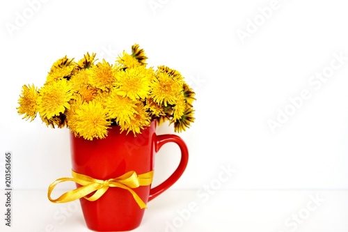 Fototapeta Naklejka Na Ścianę i Meble -  gentle dandelions