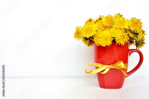 Fototapeta Naklejka Na Ścianę i Meble -  gentle dandelions