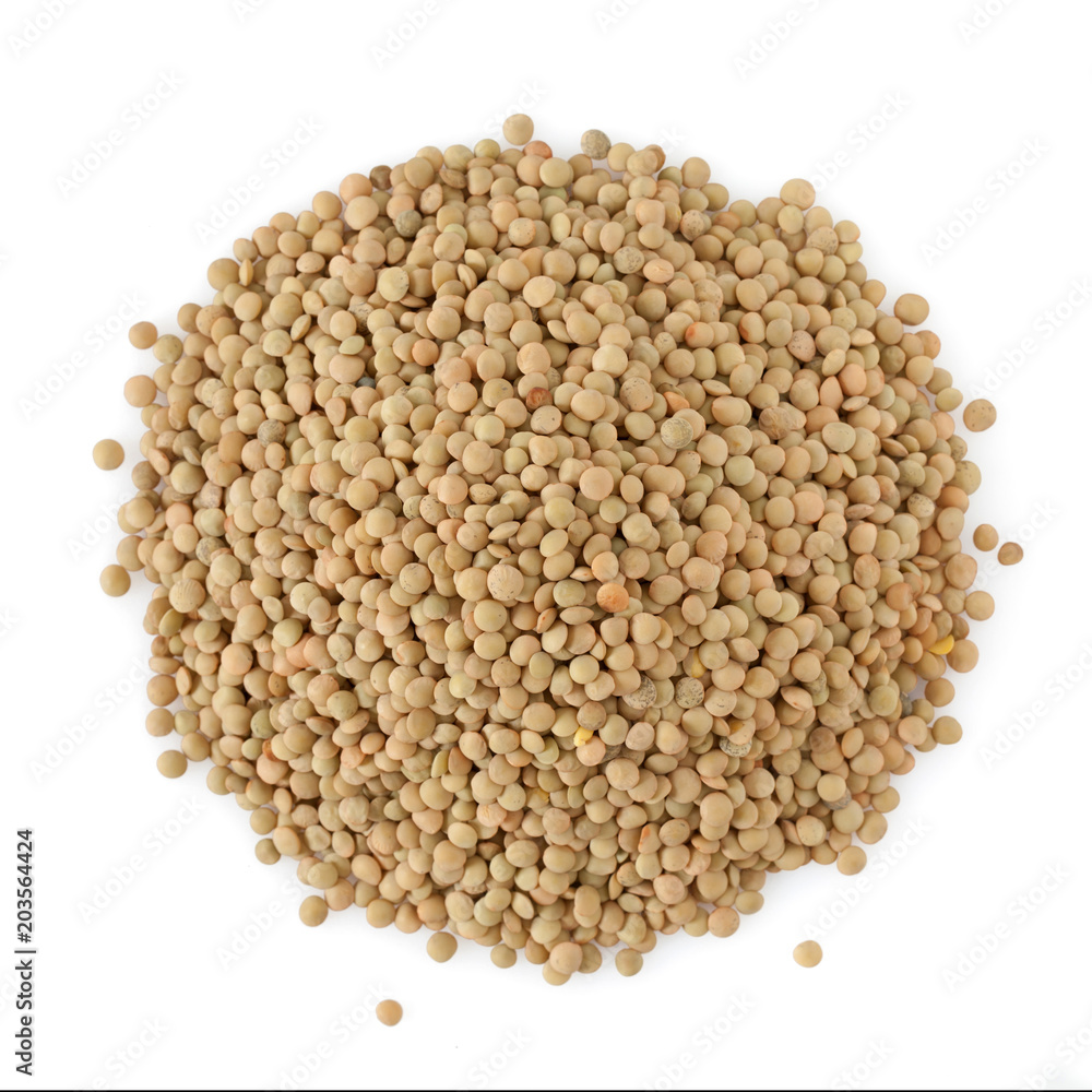 Fototapeta premium Brown Italian Lentils