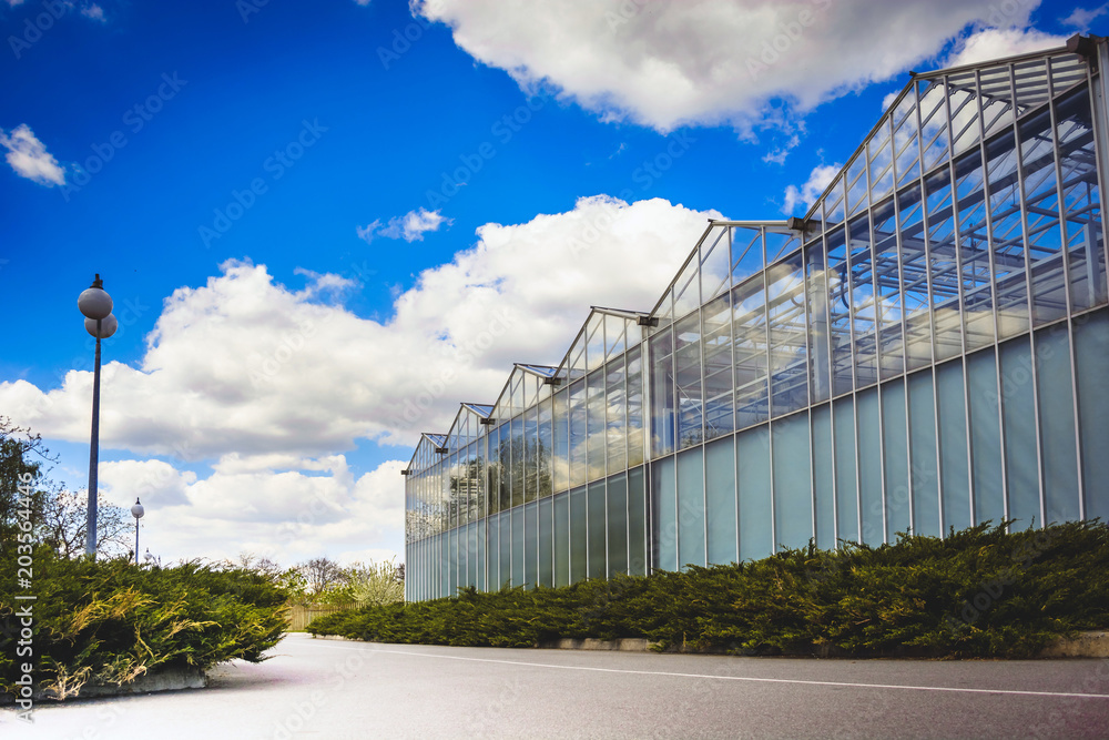 high glass greenhouses from a multitude of frames against the background of a blue sky with clouds, surrounded by a juniper perimeter, near a path covered with asphalt, in front of a lamppost high glass greenhouses from a multitude of frames against the background of a blue sky with clouds, surrounded by a juniper perimeter, near a path covered with asphalt, in front of a lamppost