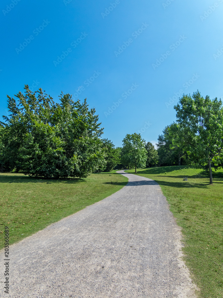 Path in park Path in park