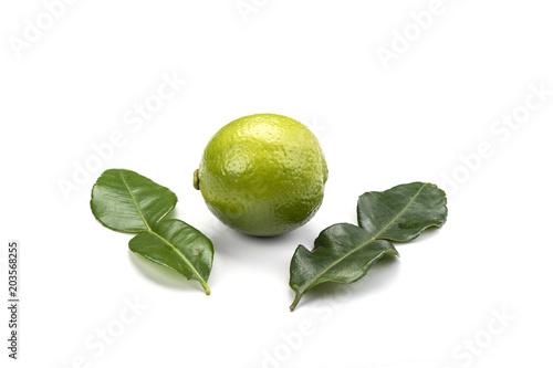 Leaves and lime fruit photo